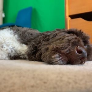 Meet your Posher, Jillian